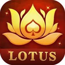 teen patti ward download